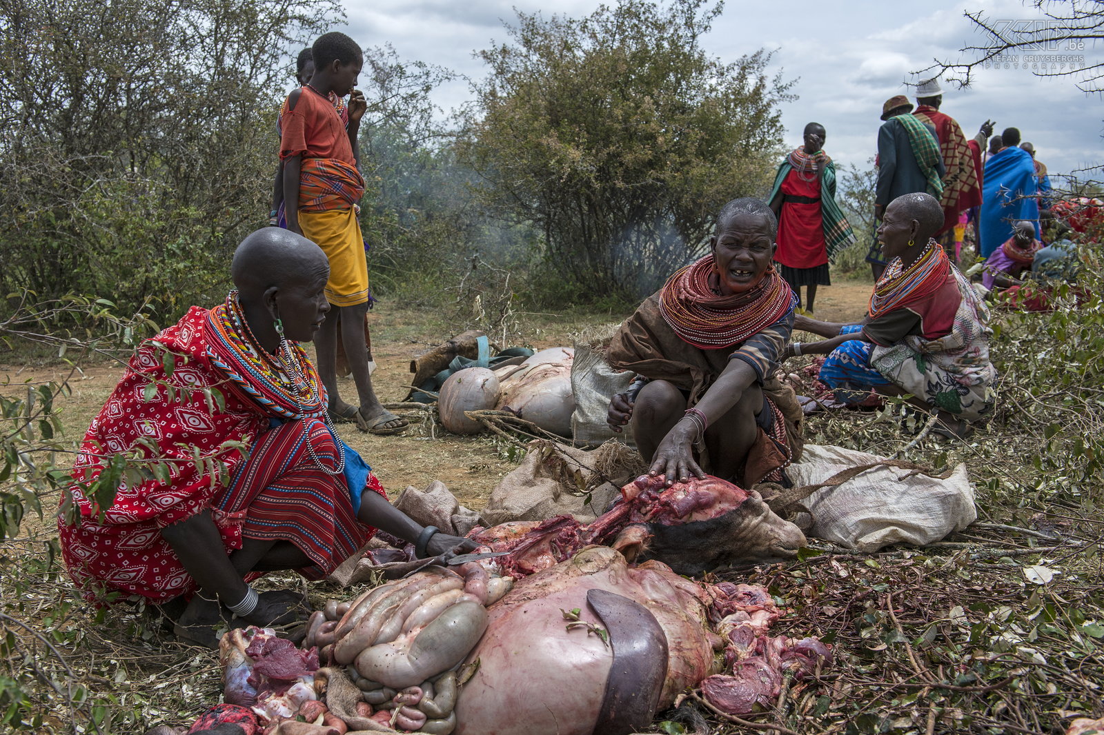 Kisima - Samburu lmuget - Women The Samburu women have to clean and cook or roast the intestines of the slaughtered animals. Stefan Cruysberghs